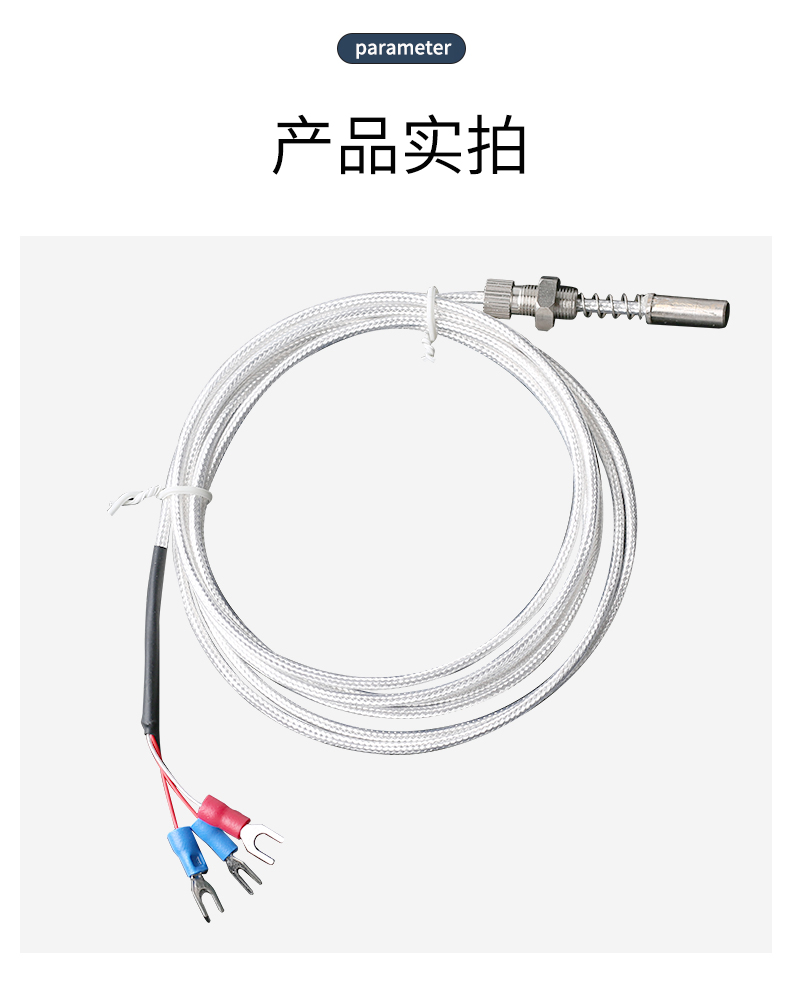 端面熱電阻6_http://www.siteall.cn_溫度儀表_第13張
