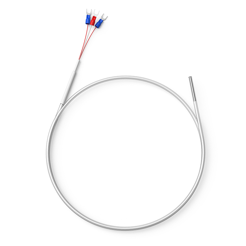 鐵氟龍熱電阻12_http://www.siteall.cn_溫度儀表_第1張