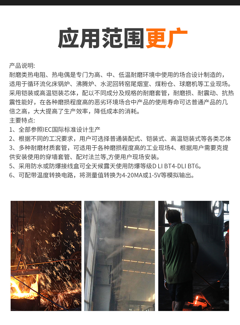 WRNM-131耐磨熱電偶15_http://www.siteall.cn_溫度儀表_第6張